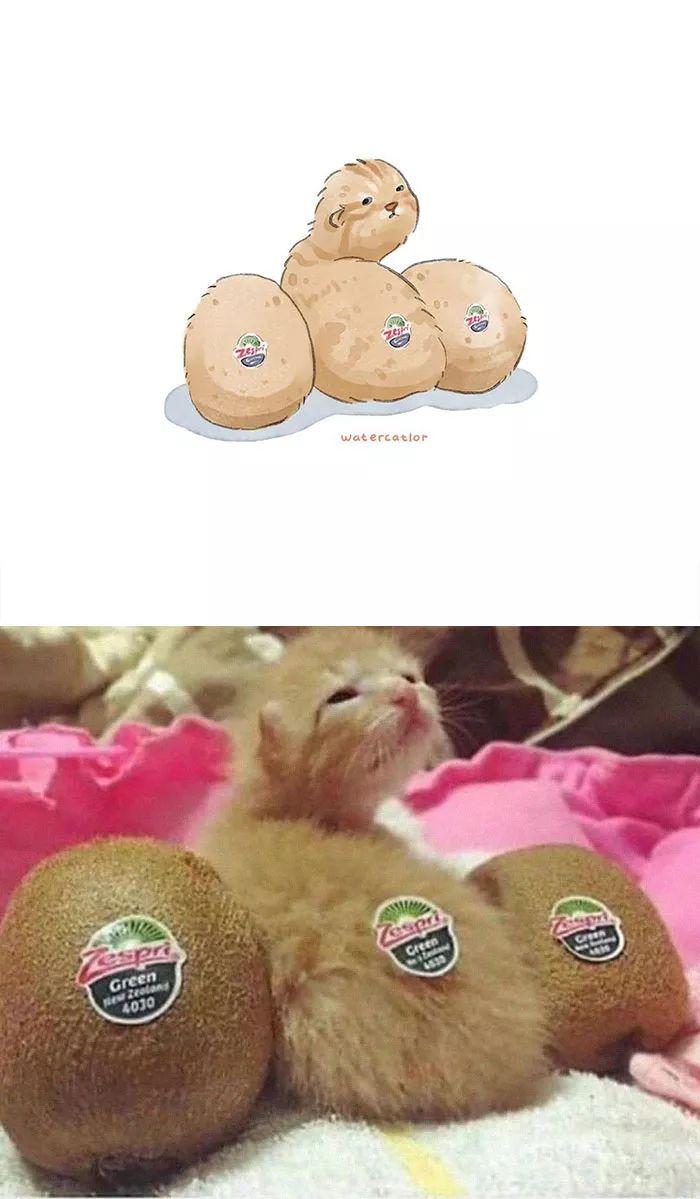 怎么画小兔子杯子 4ad48d0f676c4024bedc0f1e1f307f60.jpeg