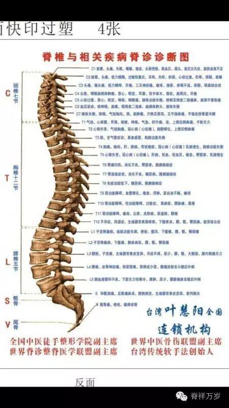 脊柱是百病之源,是人体的命脉之柱!