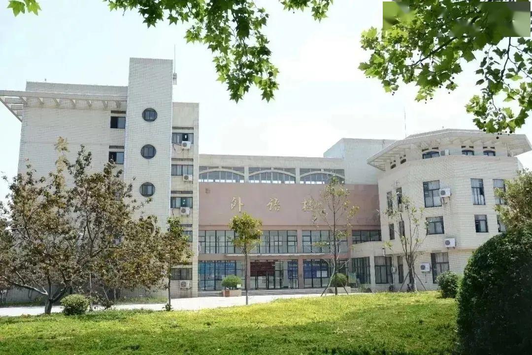 真好这里有忘不掉的回忆这里是青春的绽放这里是梦开始的地方