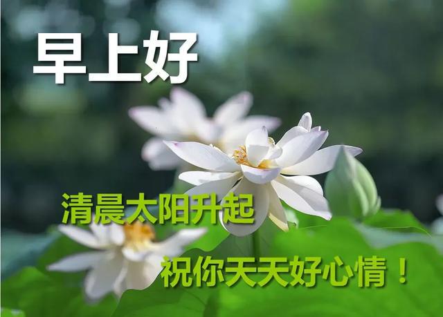 5月早晨好图片动画祝福语,夏天最美早安祝福语图片