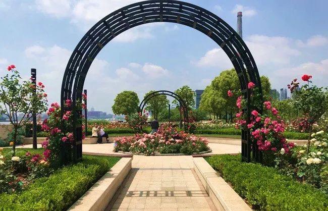 地址:黄浦滨江绿道月季园(龙华东路800号)    推荐玩法3:逛吃老字号
