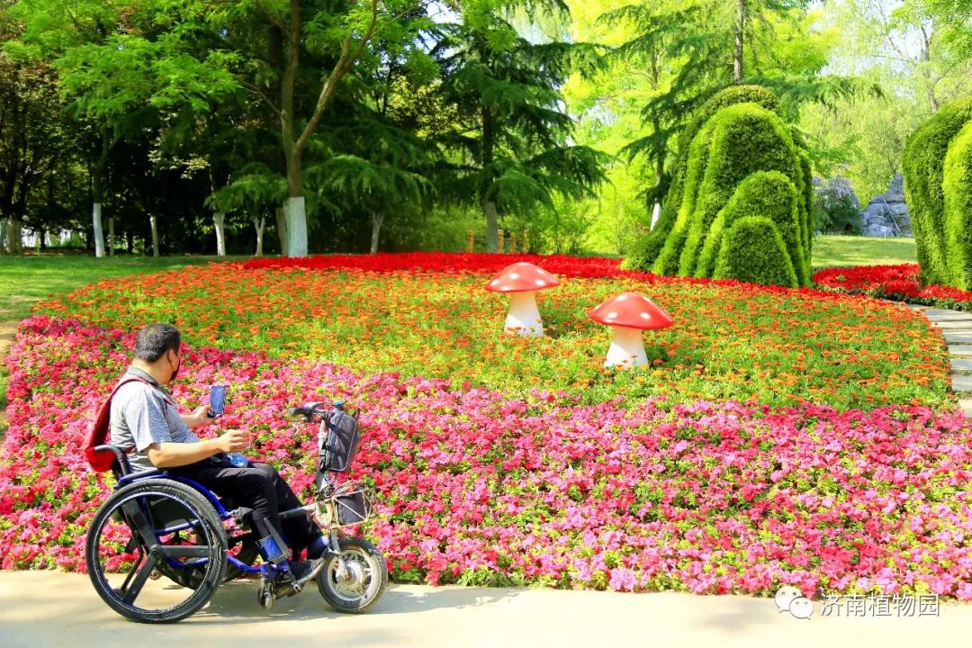 欢乐五一节畅享济南植物园