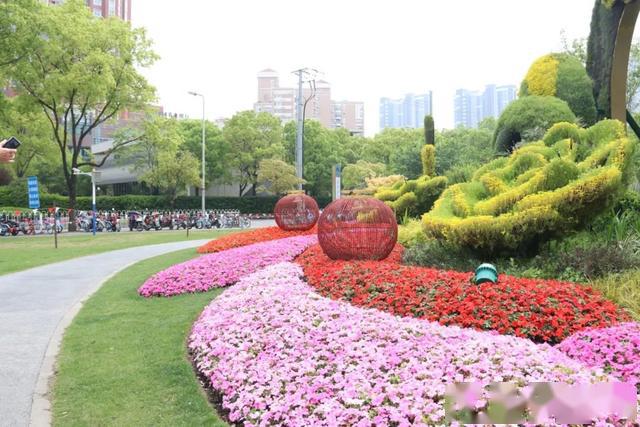 申城街头的花坛花境换"新装",用繁花点亮"五一"