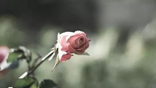 670f576ff80942cc8c453d63b526bcf8.jpeg