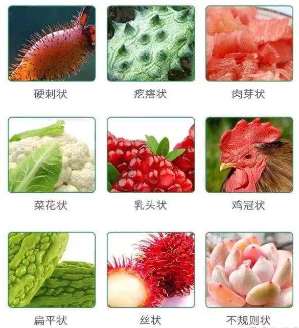 尖锐湿疣医院排名