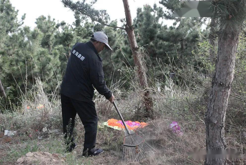 松林多少人口_沃尔沃xc60松林灰