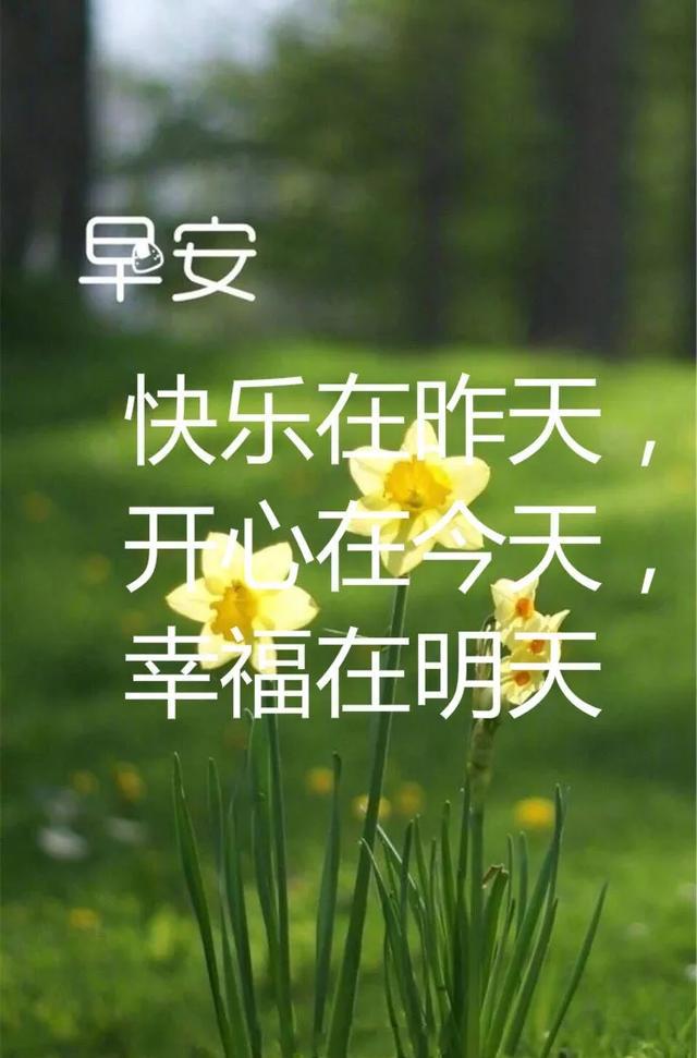 7af936bdc54f47f68cd483de8ffc0c15.jpeg