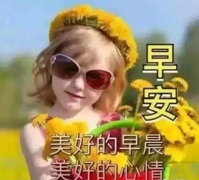 8e71c9fc332049409f0bfecdf5769f22.jpeg
