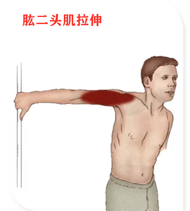 怎样可以瘦胳膊上的蝴蝶袖 9828ac1f0c7c485c97dc0cd41976923e.jpeg