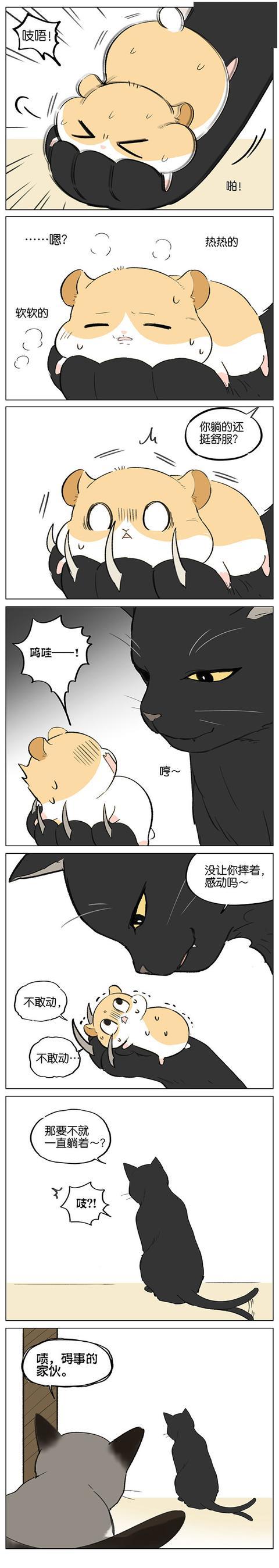 漫画仓鼠和猫的爱情story