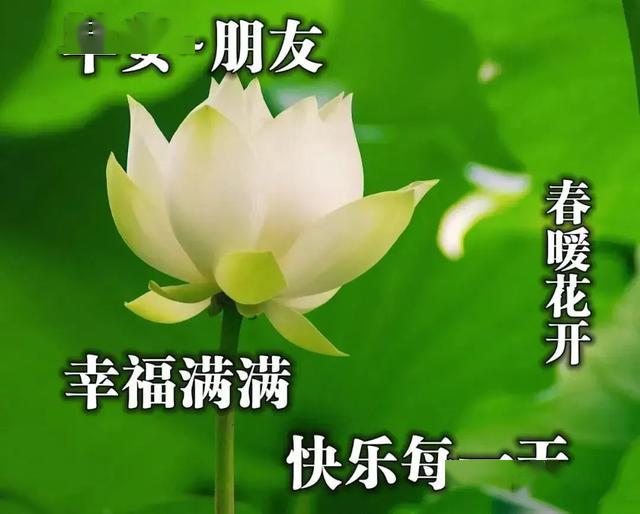 5月早晨好图片动画祝福语,夏天最美早安祝福语图片