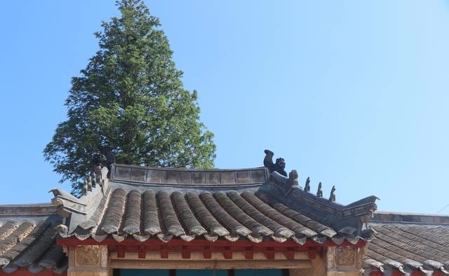 文安人口碑_文安智慧新城户型图(3)