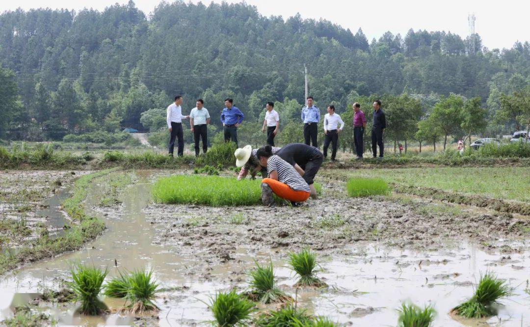 高新分局:号角响起,他(她)们奋勇向前