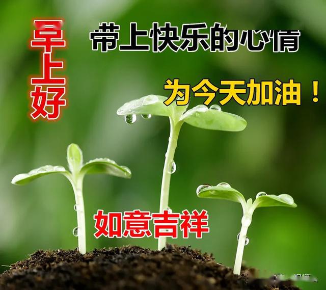 完美祝福语