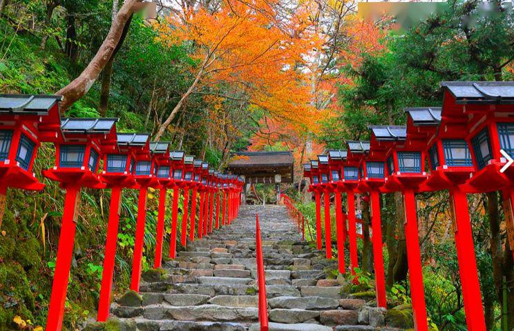 善游美景夏逐清溪水京都贵船神社高清hd