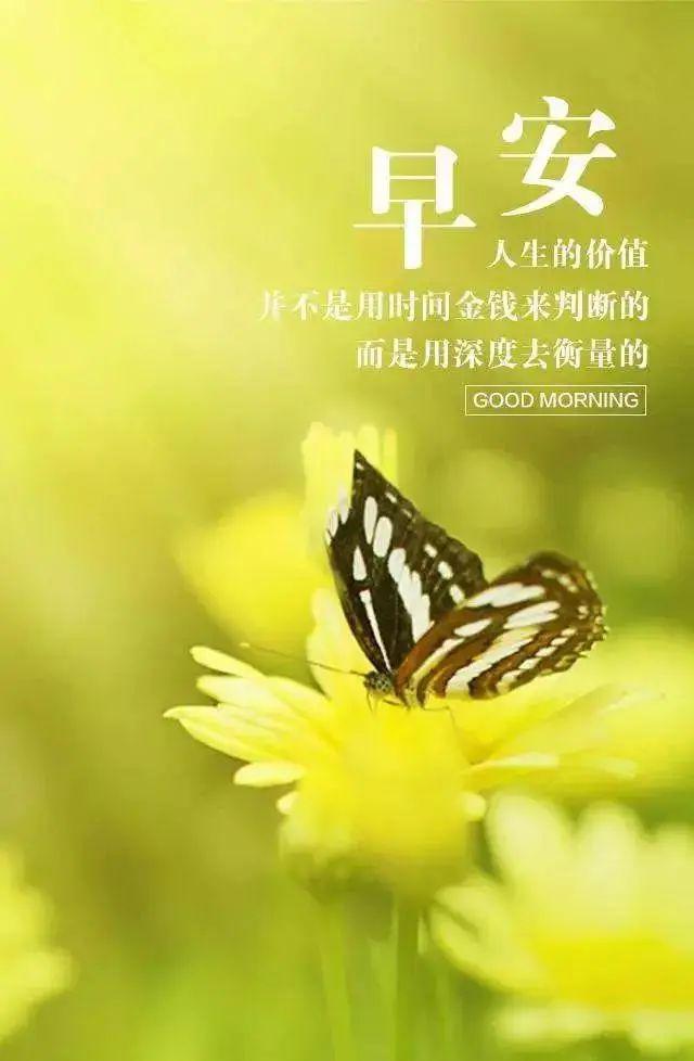 励志阳光的句子,积极向上,充满美好的希望!