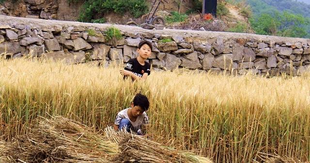 原创家长信奉读书无用论，不重视孩子教育，网友：都上985谁干苦力？