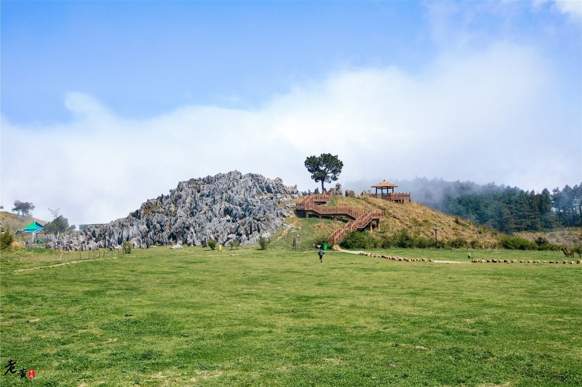 原创 拍照圣地,重庆石柱千野草场的森林天井似迷幻世界,游客惊喜连连