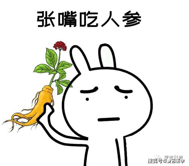 吃什么能提高免疫力啊 bfed9ecb45a3457fa4a88c02192d7ec2.png