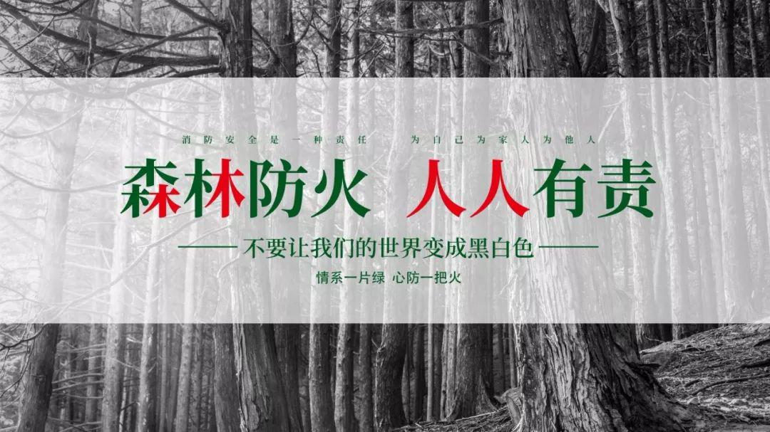 适中人森林防火警钟长鸣