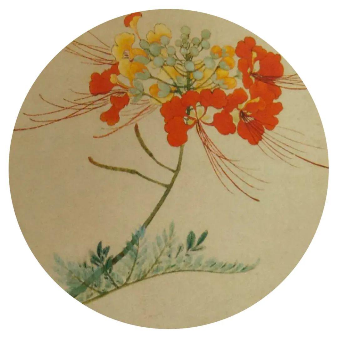 丁德发|工笔花卉小品技法班(3幅只需60元)