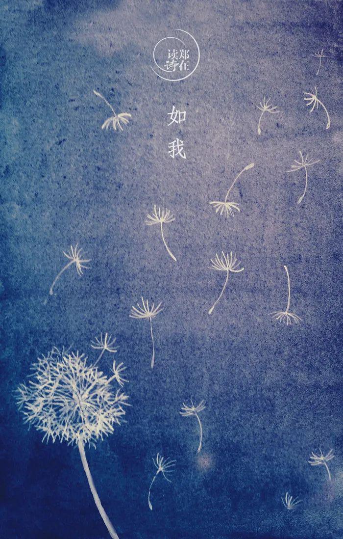 如谁,一生能随心所欲 | 淡然 · 郑在读诗