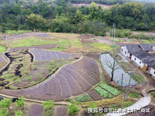 广东省丰顺县黄金镇总人口_丰顺县黄金镇清溪村