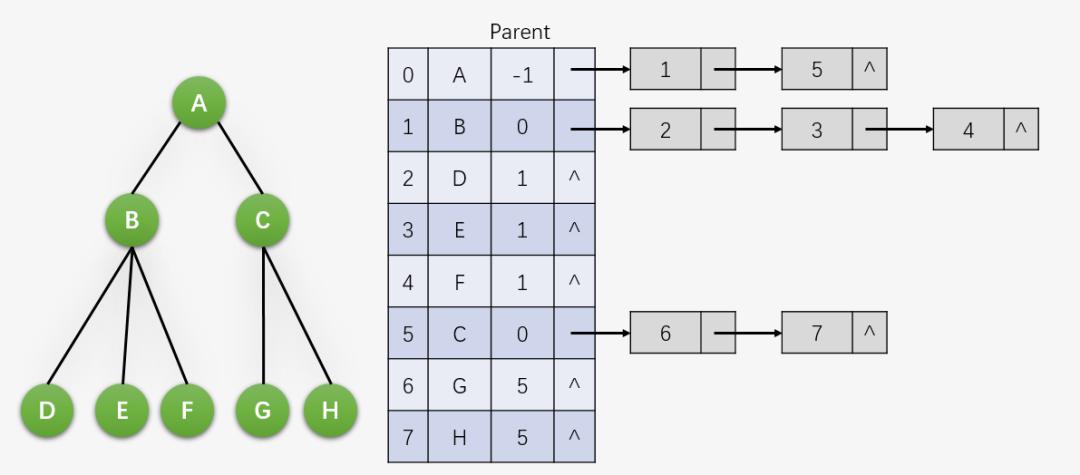 孩子兄弟表示法使用链式存储结构存储普通树.