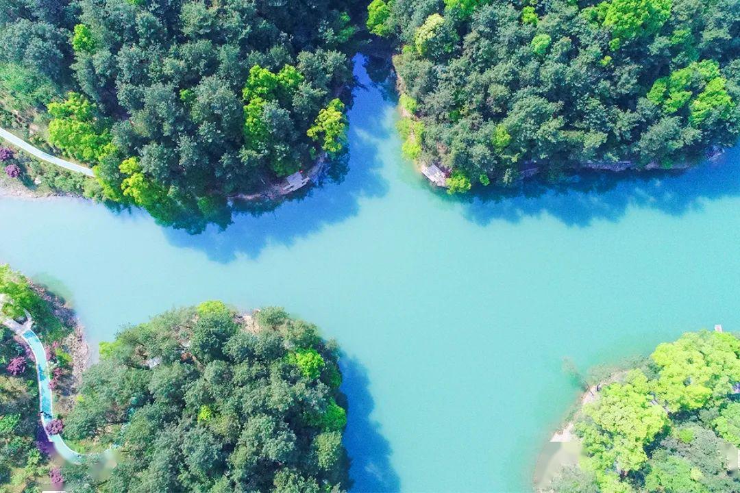 生态修复后的缙云山黛湖开门迎客