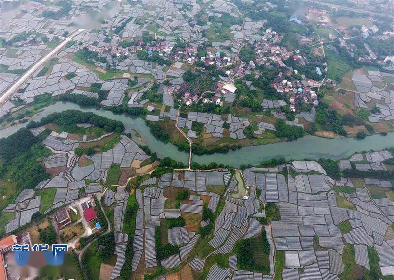 横县经济总量包不包括六景_横县六景镇官山村图片