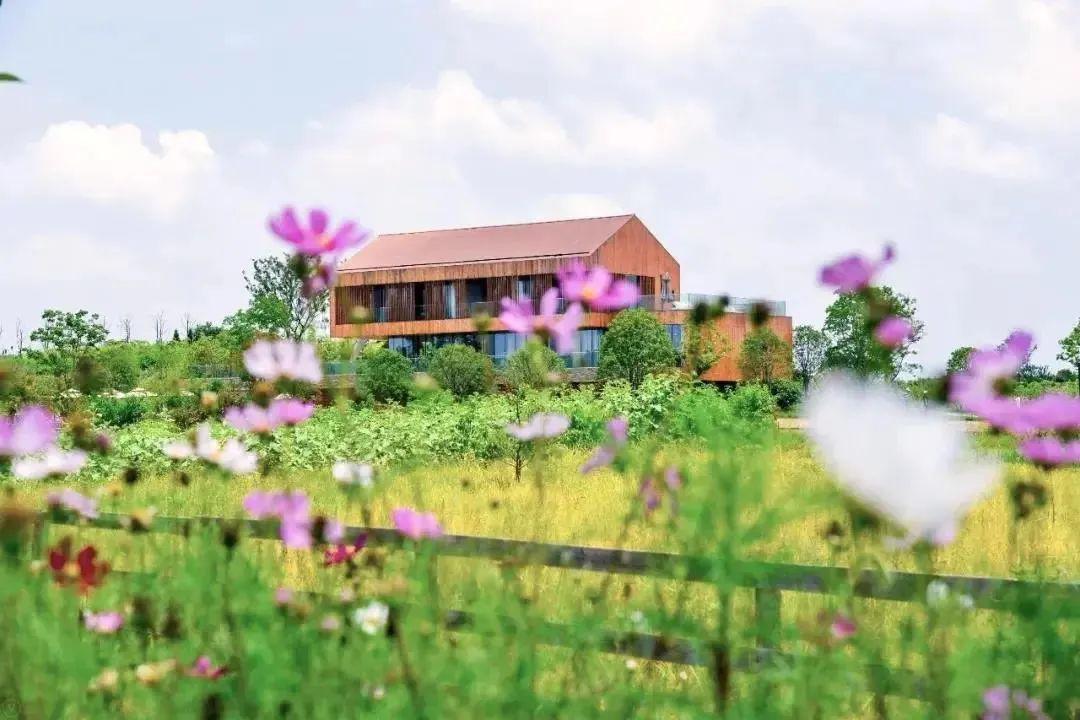 一房难寻,误入"桃花源",抓住春天的小尾巴,带上孩子回归田园,128元