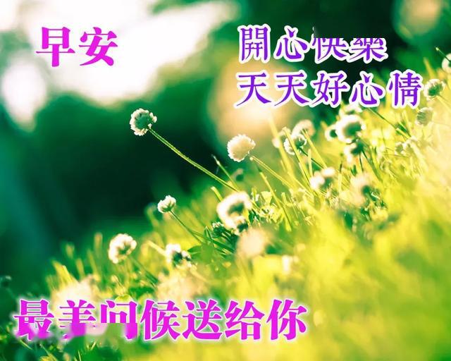 5月早晨好图片动画祝福语,夏天最美早安祝福语图片