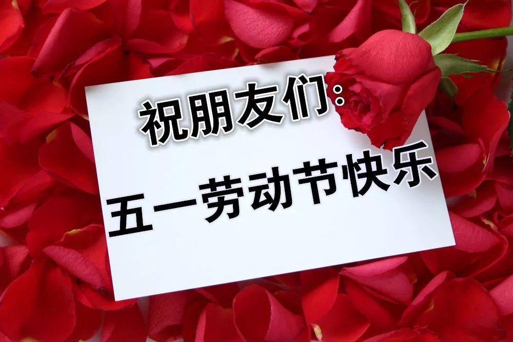1,51朵玫瑰送给群里所有人!祝你们幸福快乐,永远健康!