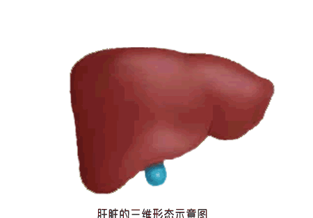 f0b6b29bc83041eba1939f875cbfafc3.gif