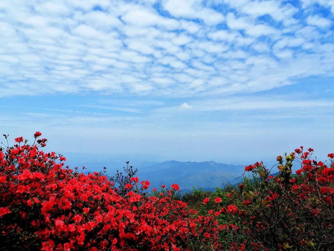 九叠泉是八卦脑景区的一处原生态景点,因其天然泉水依山势顺着奇形