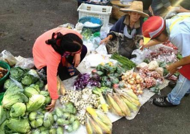 中国游泳世界排名_她本是游泳世界冠军,因不服从教练安排,被迫退役沦