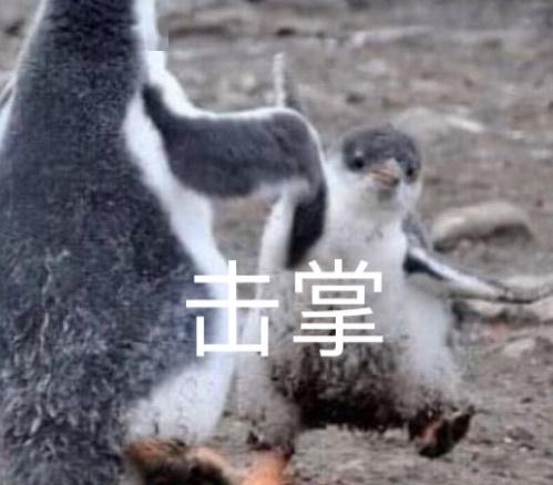 fd483b00040141c4badbf668ea270cfe.jpeg
