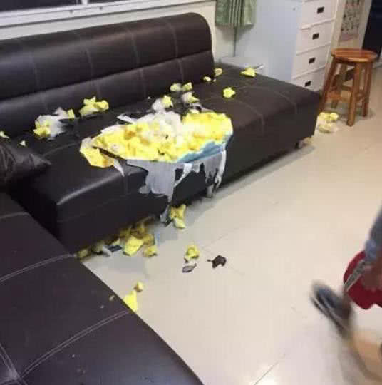 0056fd2806cb4a728715470618926b93.jpeg