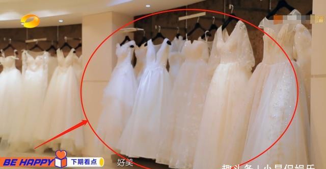 王鸥婚纱_王鸥婚纱照(3)