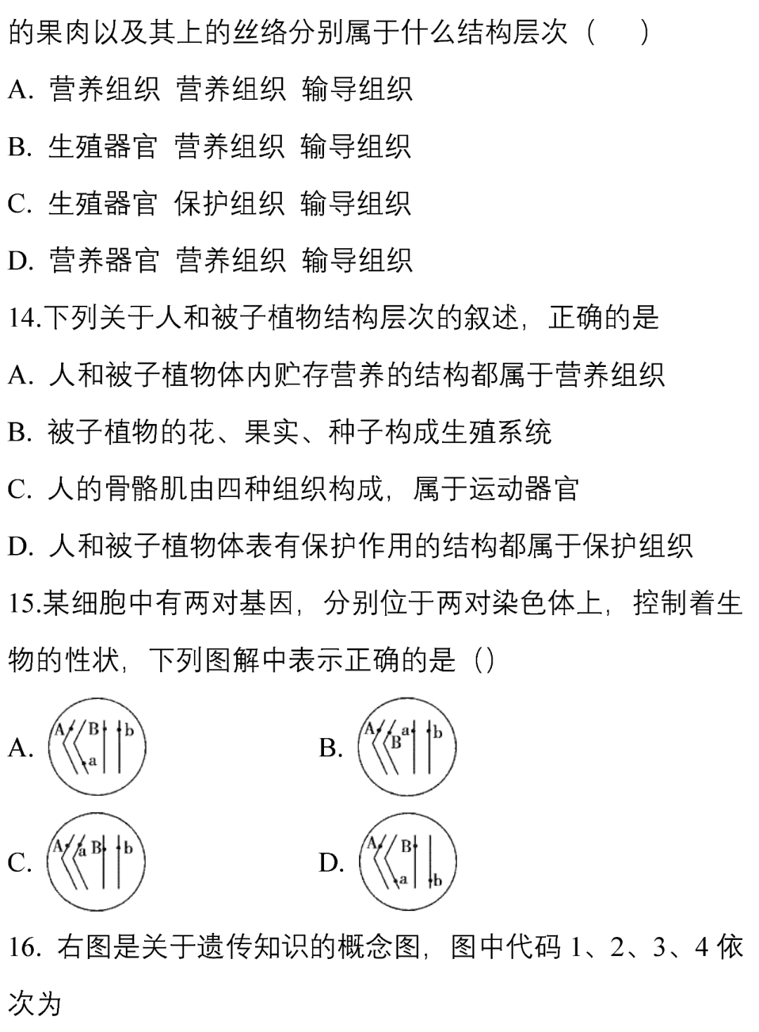 0790718140ad4a86814a2c8afba2fc54.png