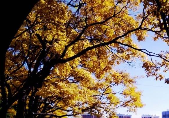 河北师范大学2020研_河北师范大学2020年新增研究生指导教师名单公示