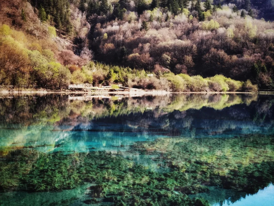 九寨沟景区5月3日门票已预约完毕!