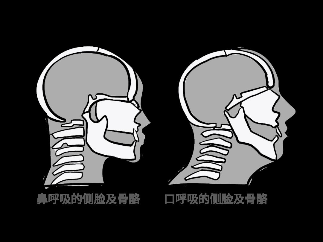 错误的呼吸方式是怎样让