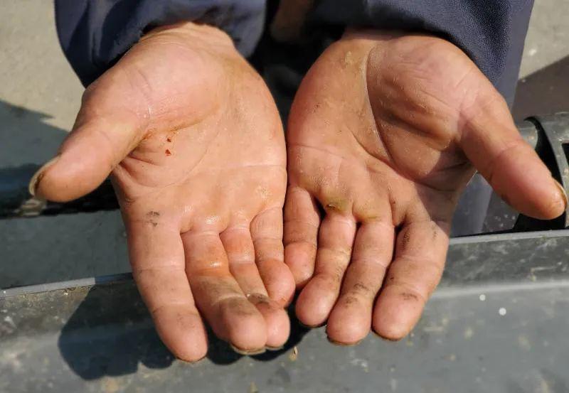 很多工作 都需要双手去完成 劳动者的手 或粗糙开裂 或沾满污渍 或