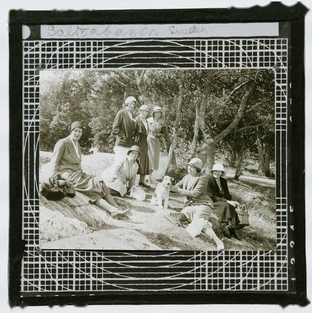 再不来一场精致野餐，我就要被开除中产籍了