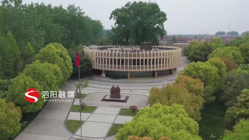 泗阳杨树博物馆馆内景致好游人纷纷来