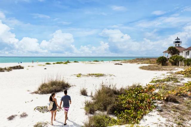 Florida Dolphin St. Pete Beach: A Seaside Paradise for Wildlife Enthusiasts