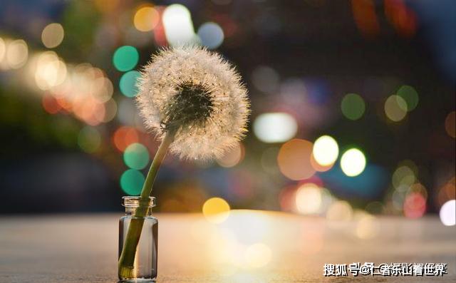 拍照如何拍出光斑 36171eeeeeba4d3da12c2dfc383b2378.jpeg