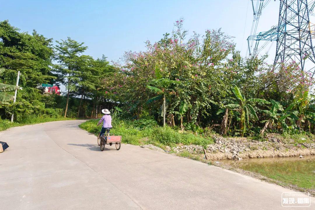 番禺区最多人口的村_番禺区化龙镇明经村