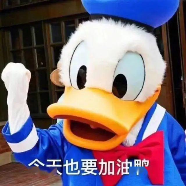 【小兰花】每天都要元气满满,《加油鸭》助力复工复学